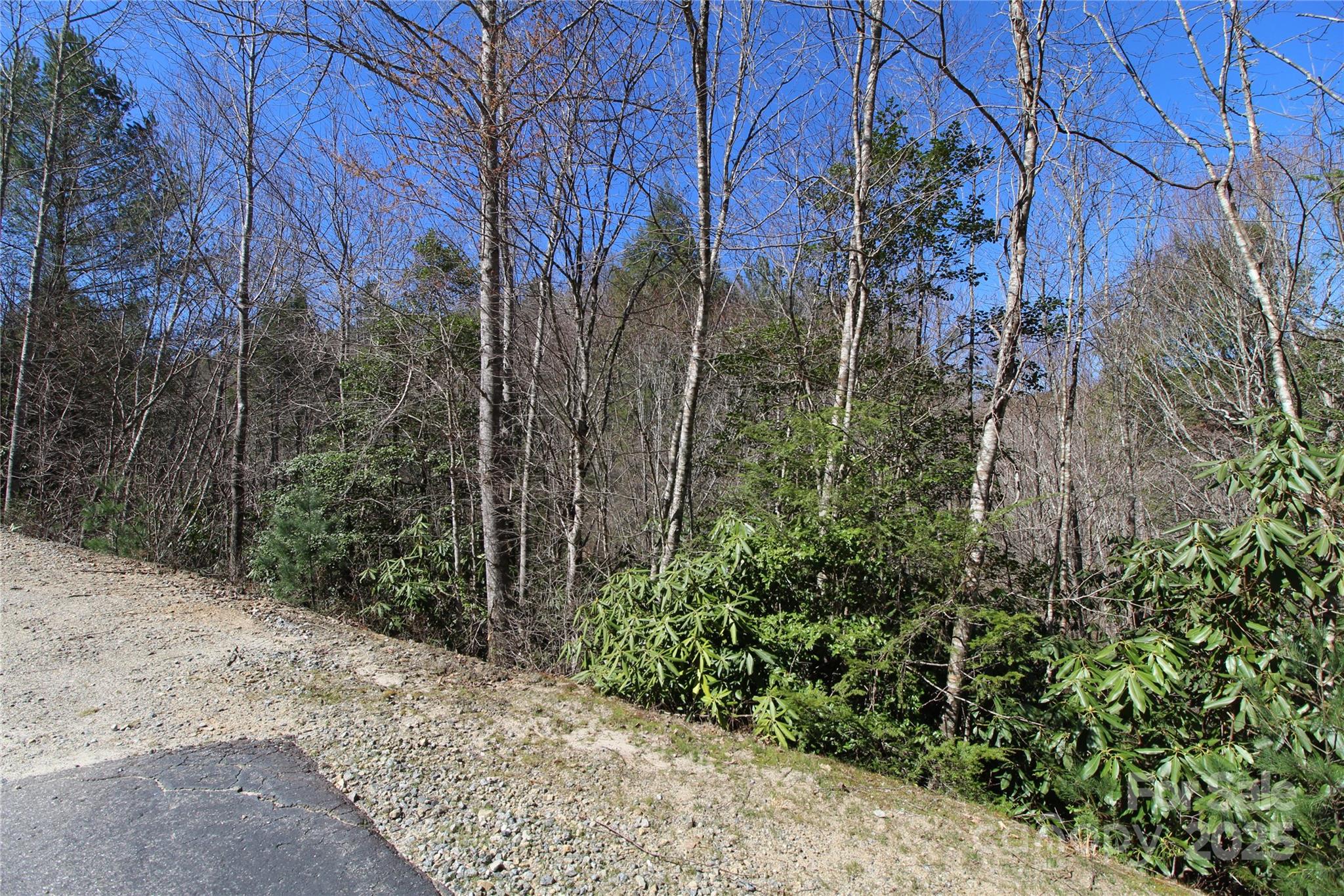 Heartwood Forest - Land