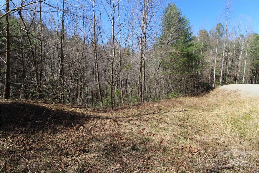 Build your private mountain retreat in this beautiful gated community with buried utilities including AT & T high speed internet. Heartwood Forest has access to the Pisgah National Forest Game Land from 2 different neighborhood access trails. Lot #26 is a lush wooded lot with a couple options for build sites.  Adjoining Lot 27 is also available for sale for a total of 20 acres. See MLS #4239391.  Heartwood Forest is conveniently located between Lenoir, Morganton and Blowing Rock and only minutes from the Wilson Creek Wild & Scenic River Area as well as the Brown Mountain OHV Trail System.
