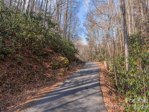 0 Coyote Hollow Road Waynesville NC 28785