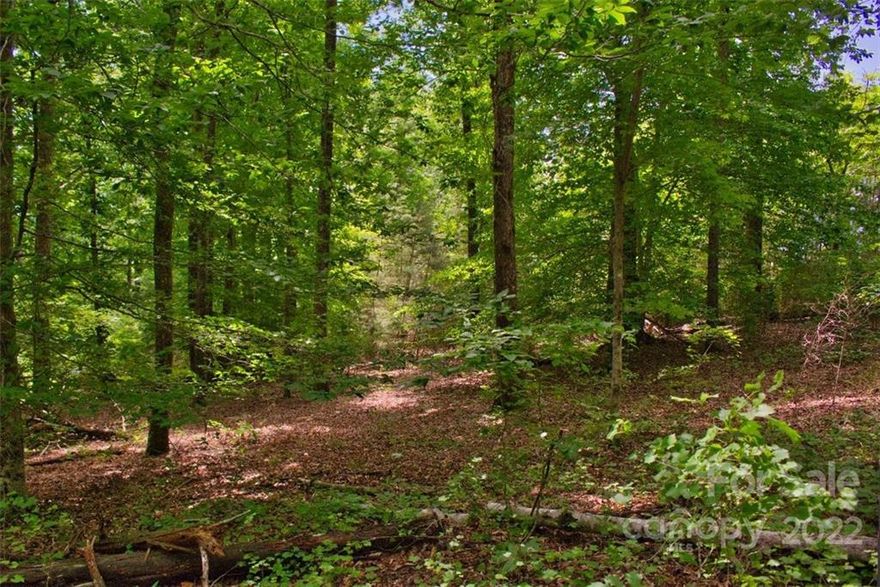 This lot rolls with undulations and an overall gentle slope - with the most gentle area almost midpoint between the  road frontage (west border) and the stream (east), offering beauty and privacy plus an easy build.
A generous parcel, it's convenient to the north gate of the community, yet it's on a little-used road. Features a great deal of privacy while being tucked under a canopy of mostly hardwoods. (Shade all summer and sunlight in the winter.) The stream flows all year, and while it gets a bit steeper along the water, it's still a lovely view, and not all that challenging to approach.
The deer trails offer additional charm to this lovely property. While it's a bit dense along the road frontage, there's a minimum of undergrowth - you'll find it easy to walk on and explore.