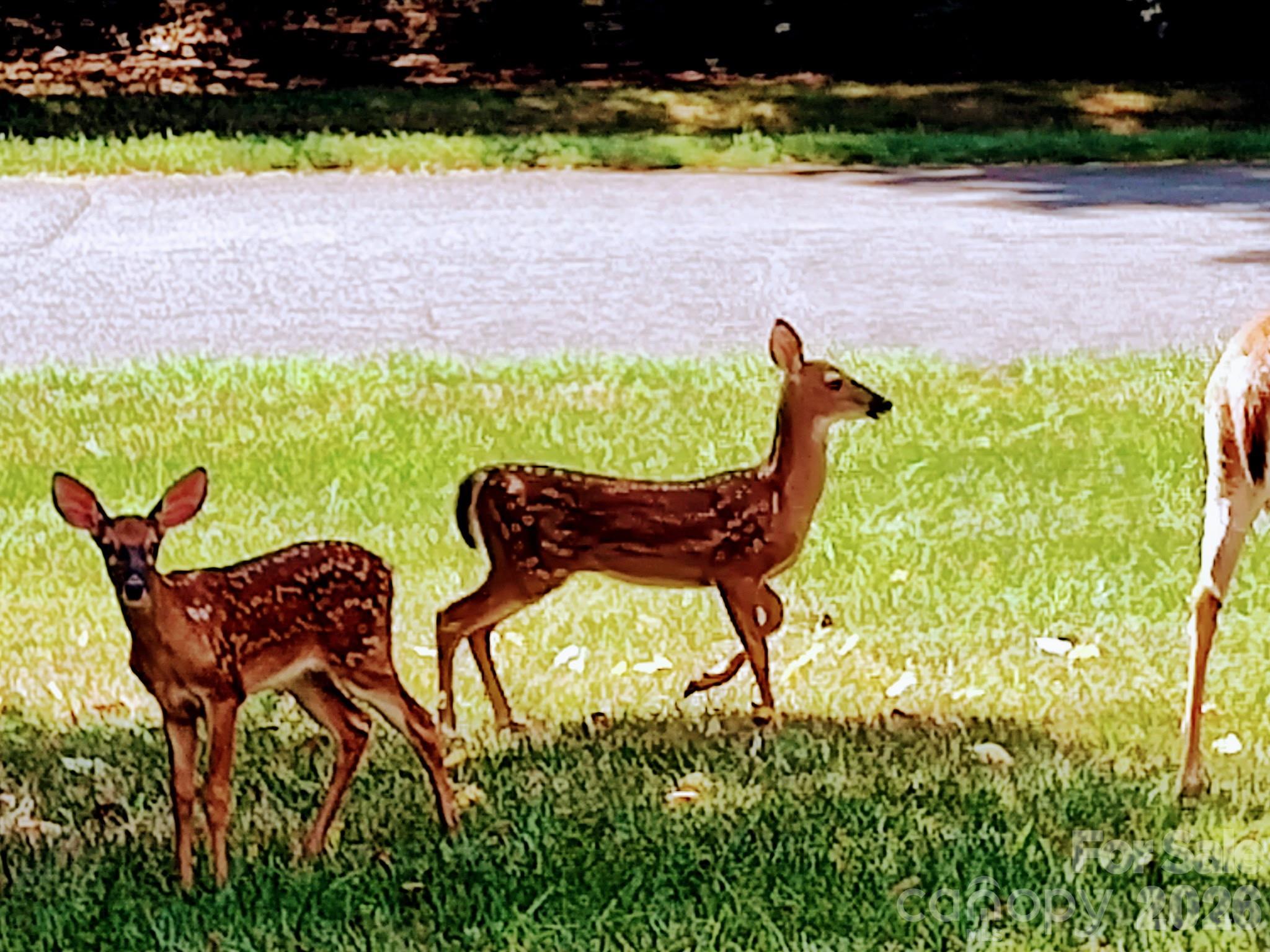 Greyland Hills - Residential