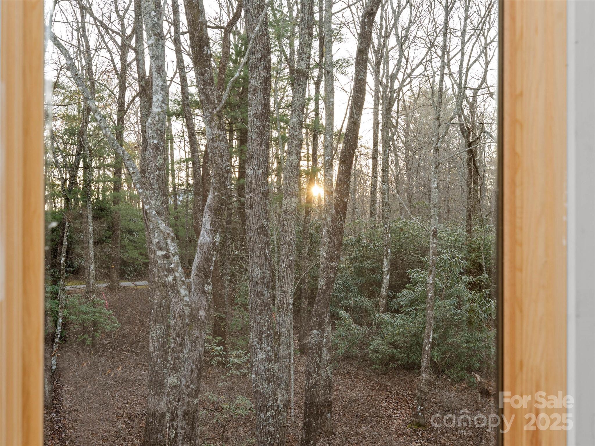 Indian Lake Estates - Residential