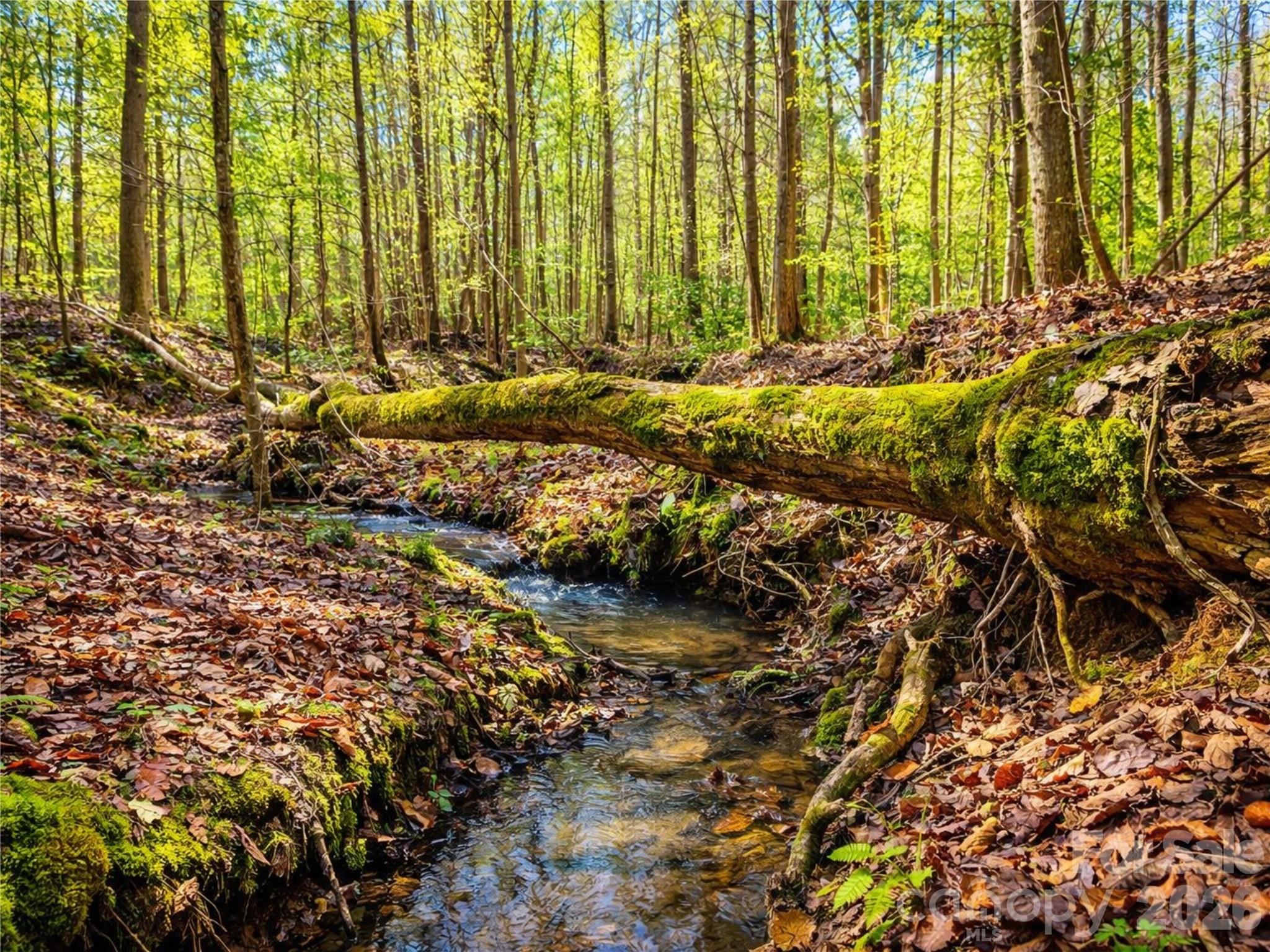 196 Sunset Ridge LOT 122