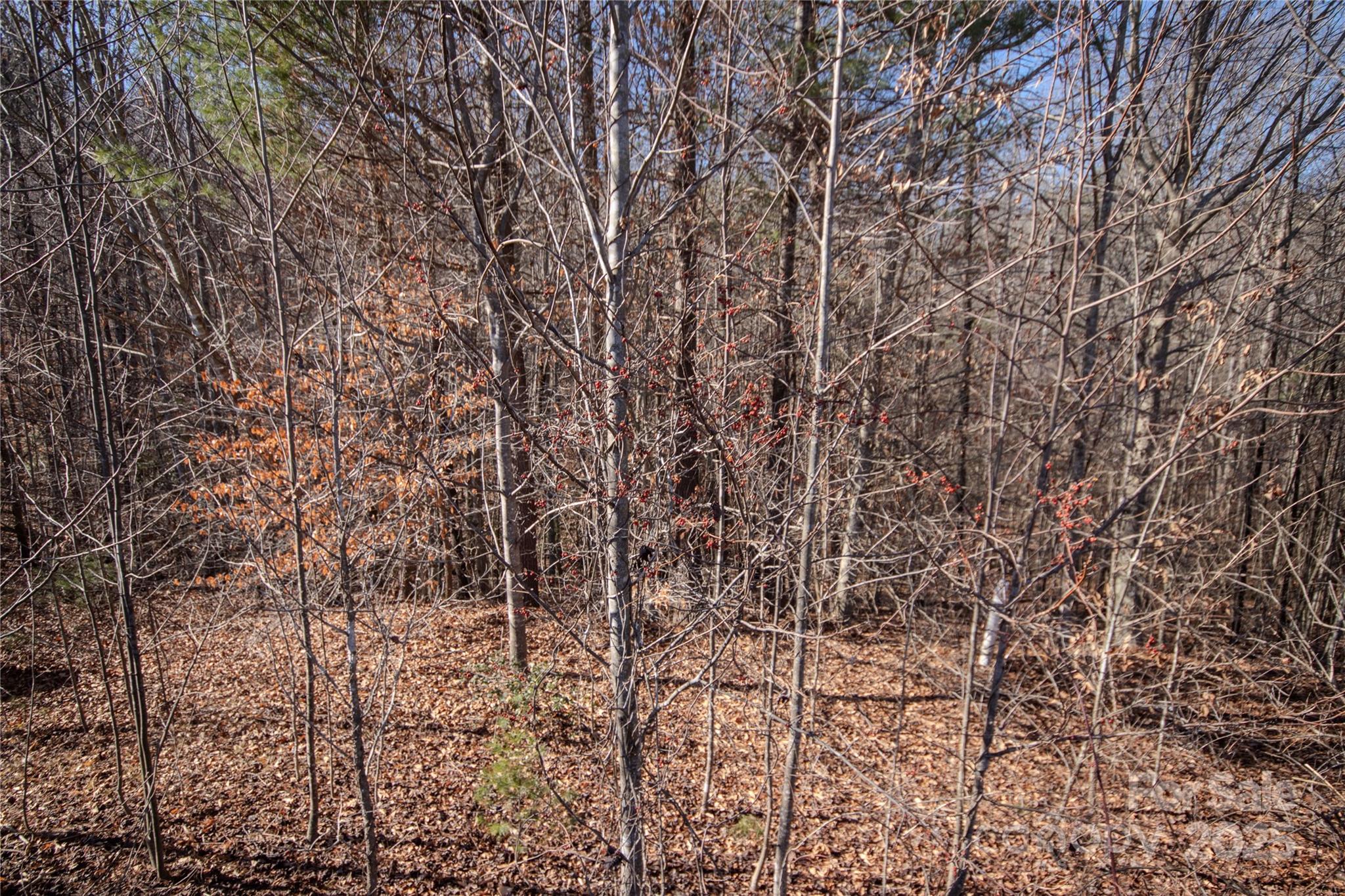 742 Chatsworth Circle SE 19