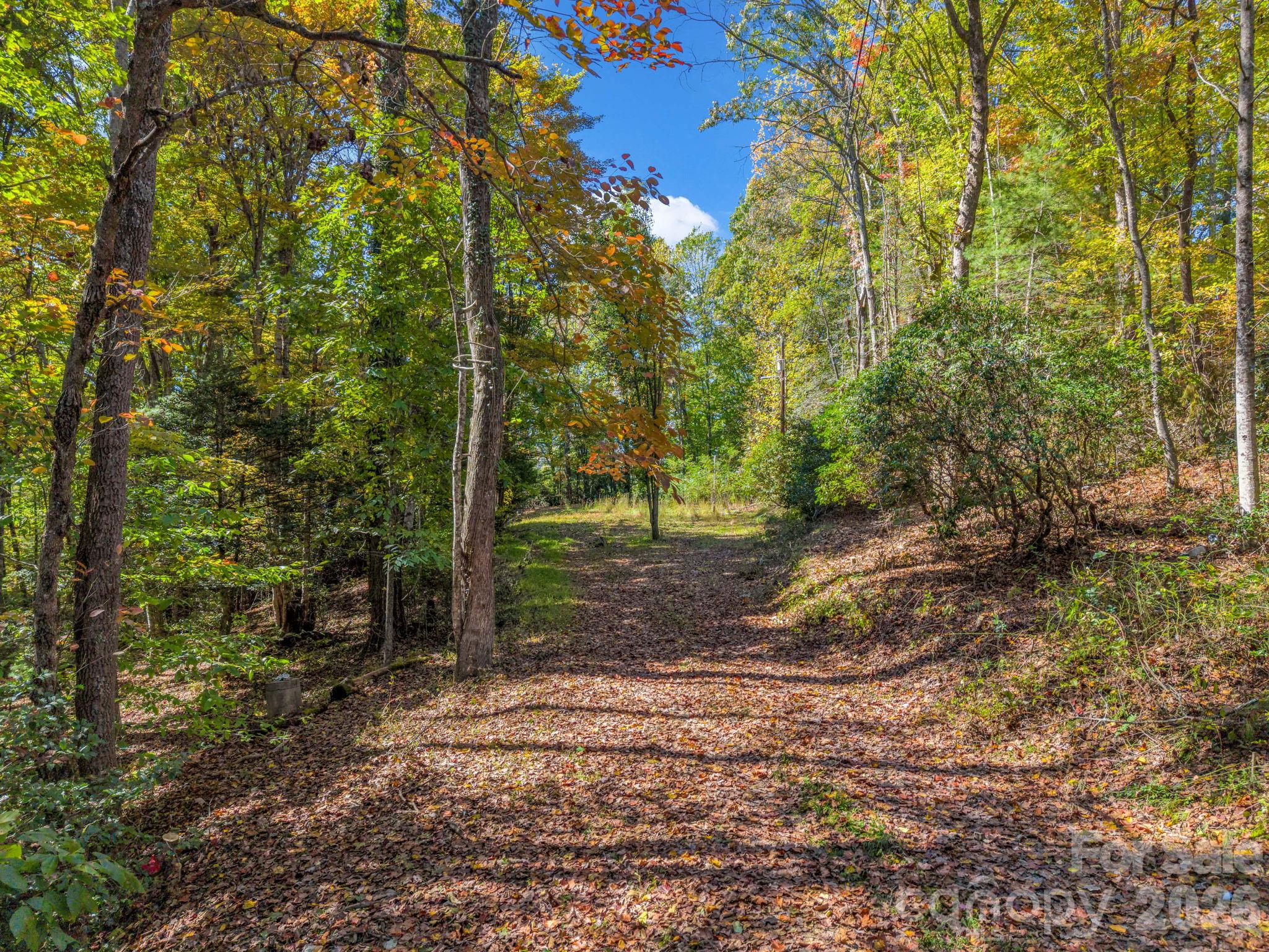 396 Patton Mountain Road