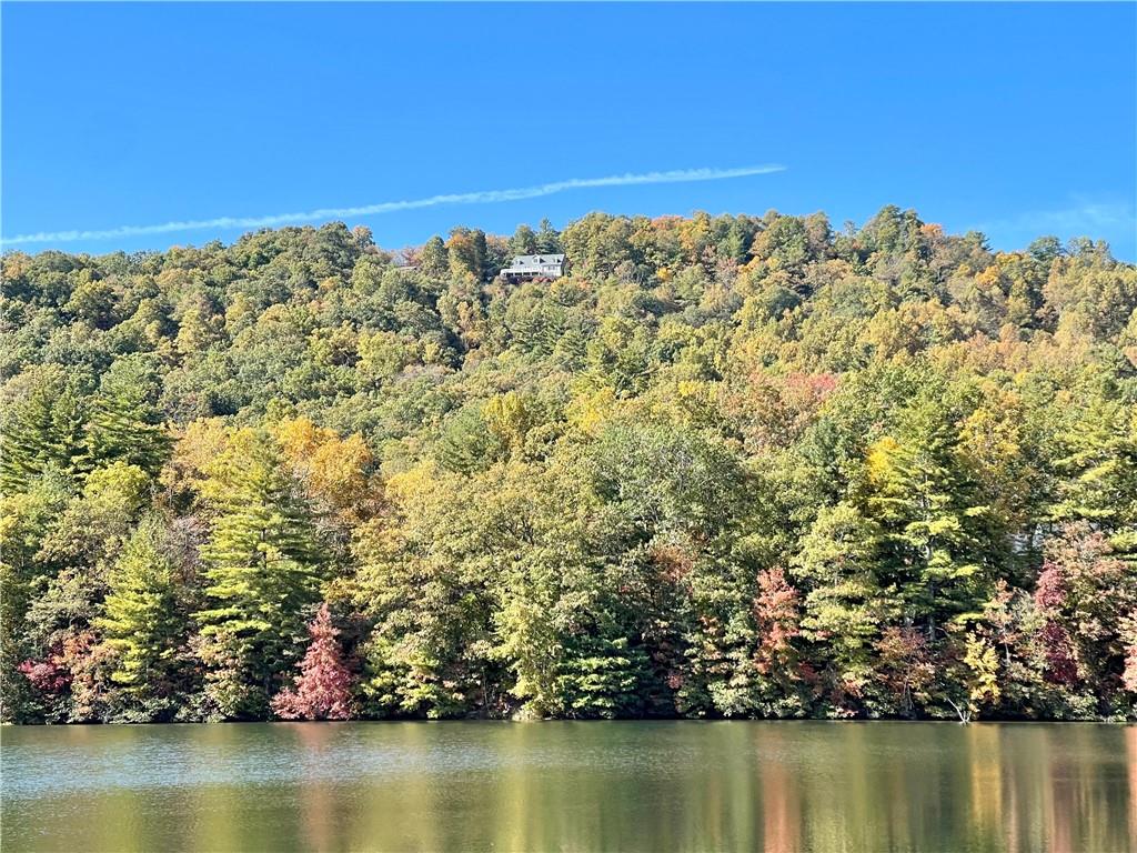Swiss Pine Lake - Residential