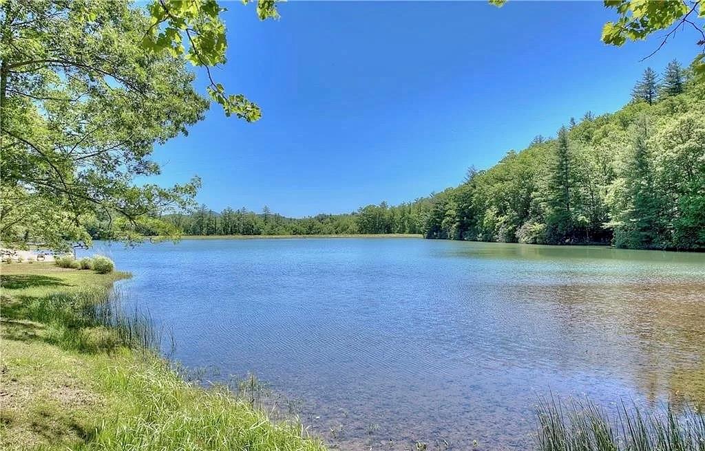 Swiss Pine Lake - Residential