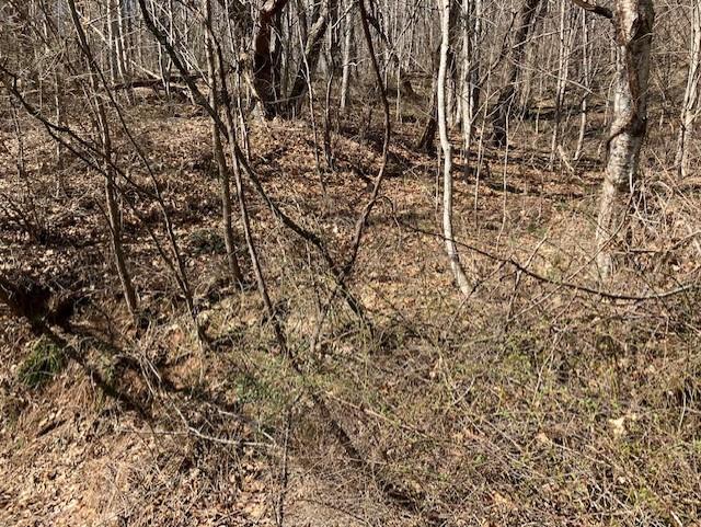 Utah Mountain Estates - Land