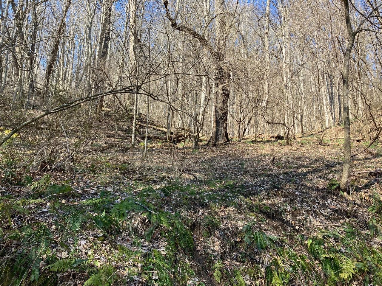 Utah Mountain Estates - Land