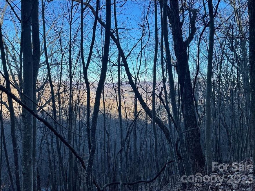 This is a two-acre, located past the crest of Utah Mountain, with a location that affords morning sunshine, and some nice long-range views with some tree clearing. Electric service is located at roadside, adjacent to the lots.    This can also be purchased with the adjoining one-acre lot to make a total of three acres, or with two adjoining lots of one-acre each, to make a total of 4 acres (ML# 4114042). An owner could build on one lot and keep the others for wooded privacy.  One of the adjoining lots has a small stream on it.   Utah Mountain Estates is a well-established & well-known subdivision in Jonathan Valley, with a variety of mountain-style homes.