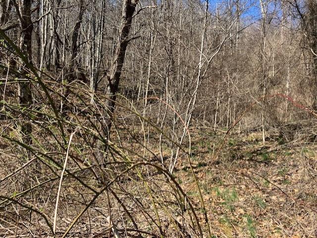 Utah Mountain Estates - Land