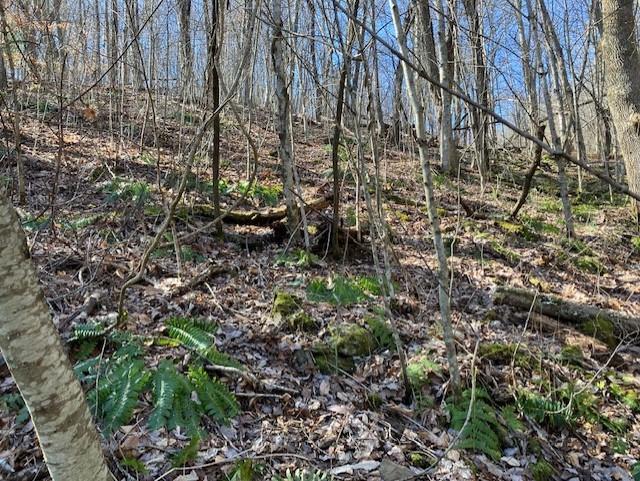 Utah Mountain Estates - Land