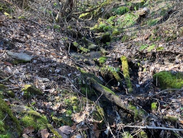 Utah Mountain Estates - Land