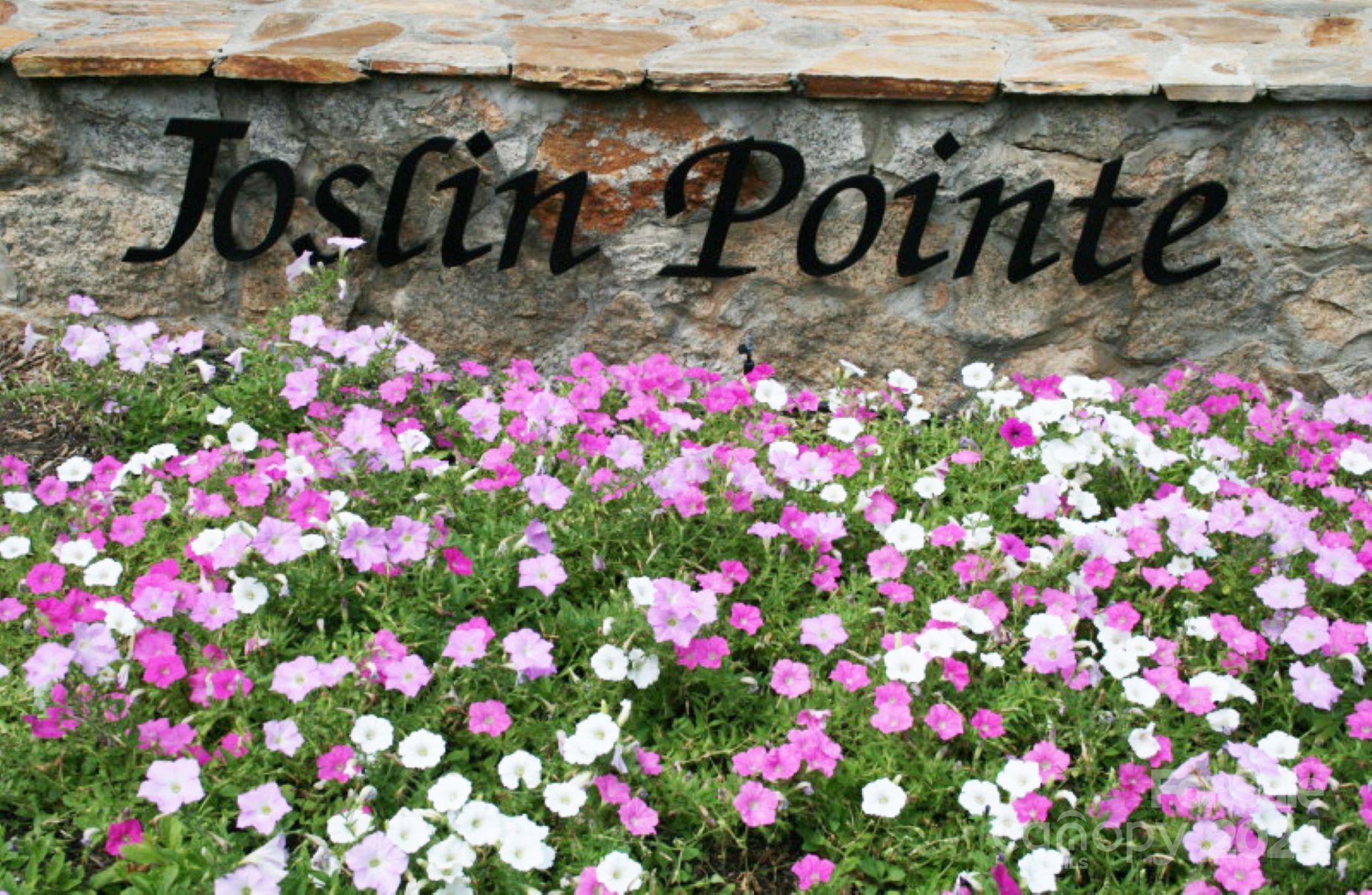 Joslin Pointe - Land