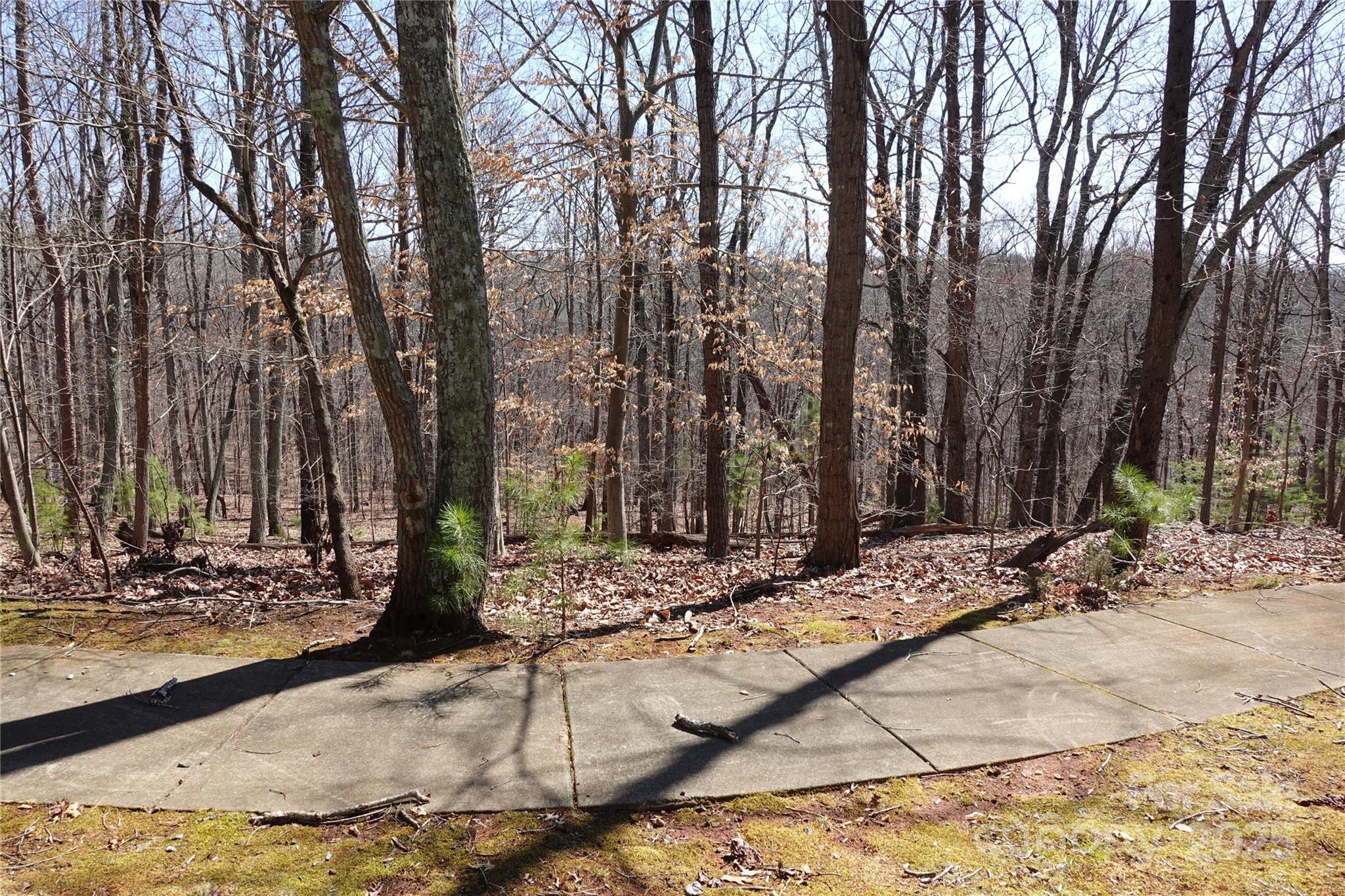 14427 Roe Buck Meadow Lane