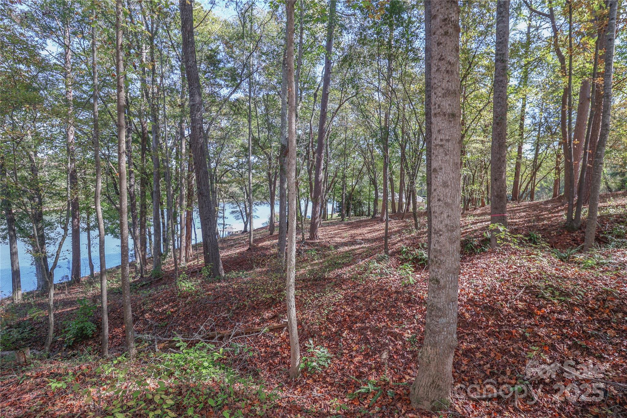 5898 Wood Duck Way