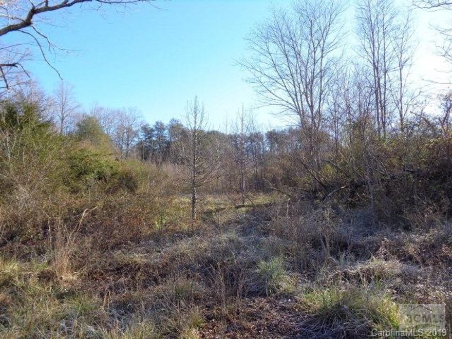 Very desirable lot in a great location. Property is in an estate so the owners have very little information but it appears there was a previous mobile home on the property and a possible septic tank and water tap. Property is being sold as is with no representation. Lot adjoins a cottage with an approximate acre lot which is listed as MLS 26816.