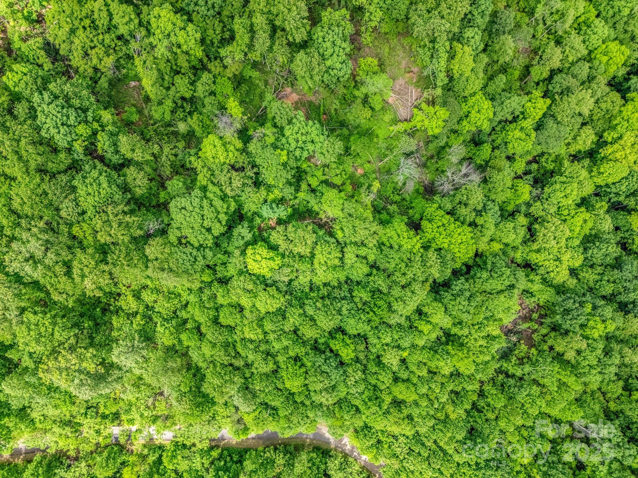 The Sanctuary of Tryon - Land