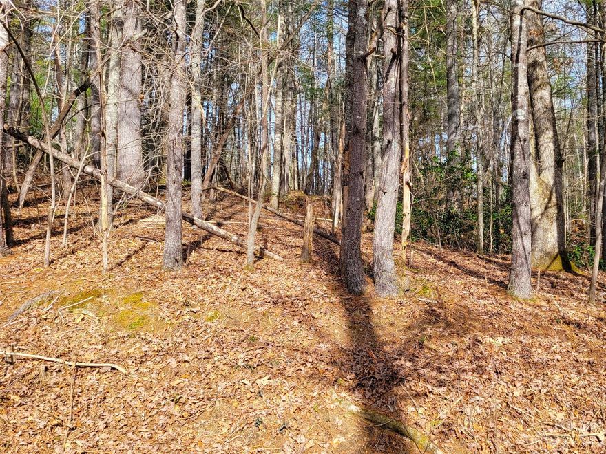 Beautiful level to sloping wooded lot in Westbridge off of Little River Road. This is one of the last lots left in this established neighborhood. Minutes from Flat Rock. Convenient to downtown Hendersonville, shopping, and dining..