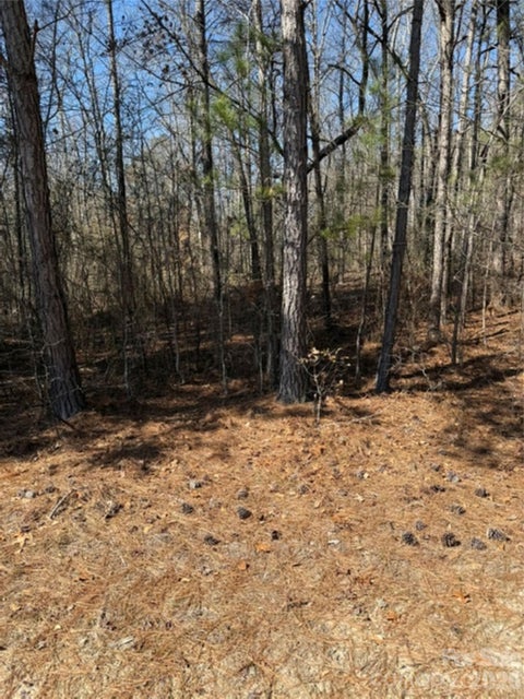 Photo of 00 Vintage Road, Lilesville, NC 28091 (MLS # 4435967)