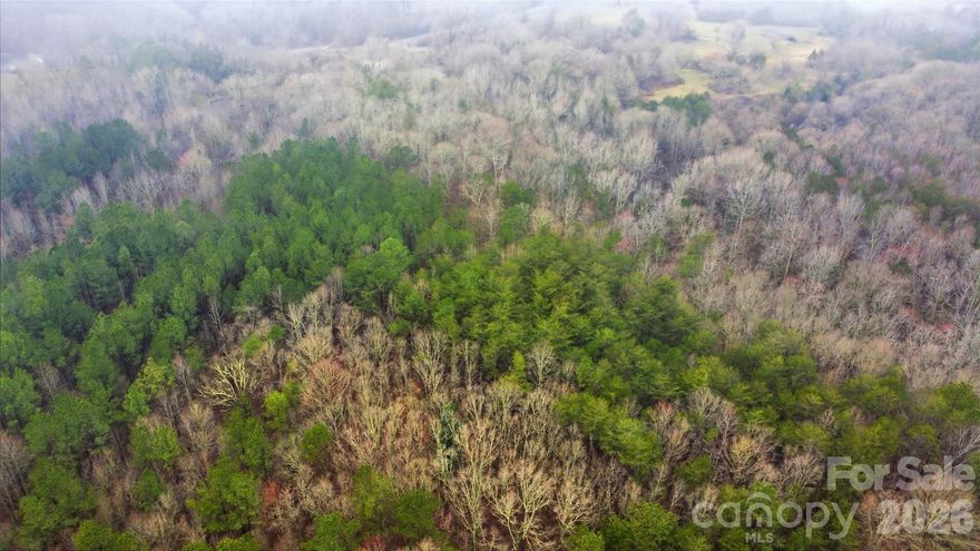 Discover the possibilities with this beautiful 4.32-acre parcel in growing Kings Mountain! Whether you’re dreaming of building a custom home, creating a private retreat, or investing in land with long-term potential, this property offers the space and flexibility to make it happen. Zoned suburban residential, you’ll enjoy room to spread out while still being just minutes from local shopping, dining, and everyday conveniences. Conveniently located near Hwy 74 and I-85, commuting to Gastonia, Charlotte, or Spartanburg is quick and easy. If you’ve been looking for acreage without sacrificing accessibility, this is your opportunity. This is an auction property.