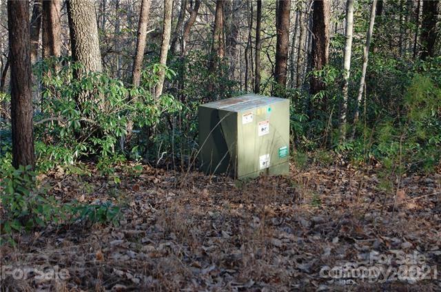 Rumbling Bald on Lake Lure - Land