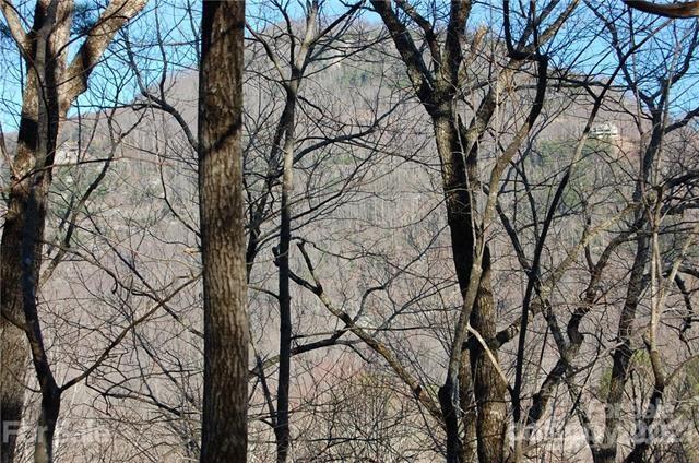 Rumbling Bald on Lake Lure - Land