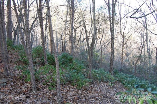 Rumbling Bald on Lake Lure - Land