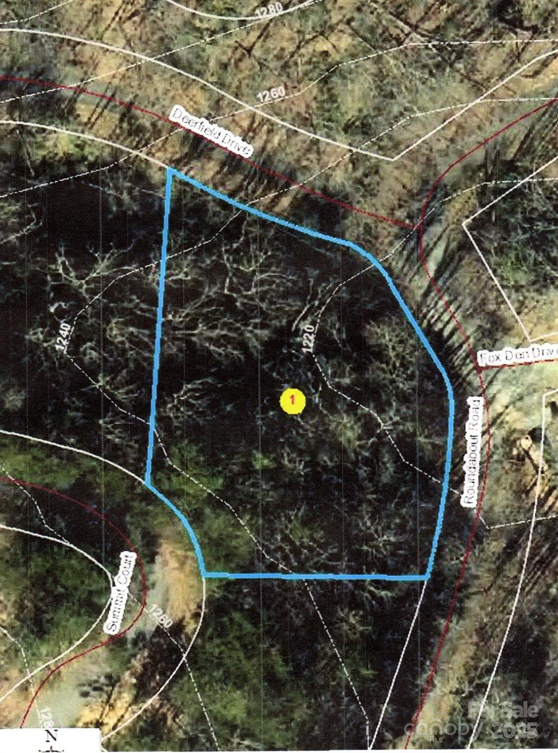 Rumbling Bald on Lake Lure - Land