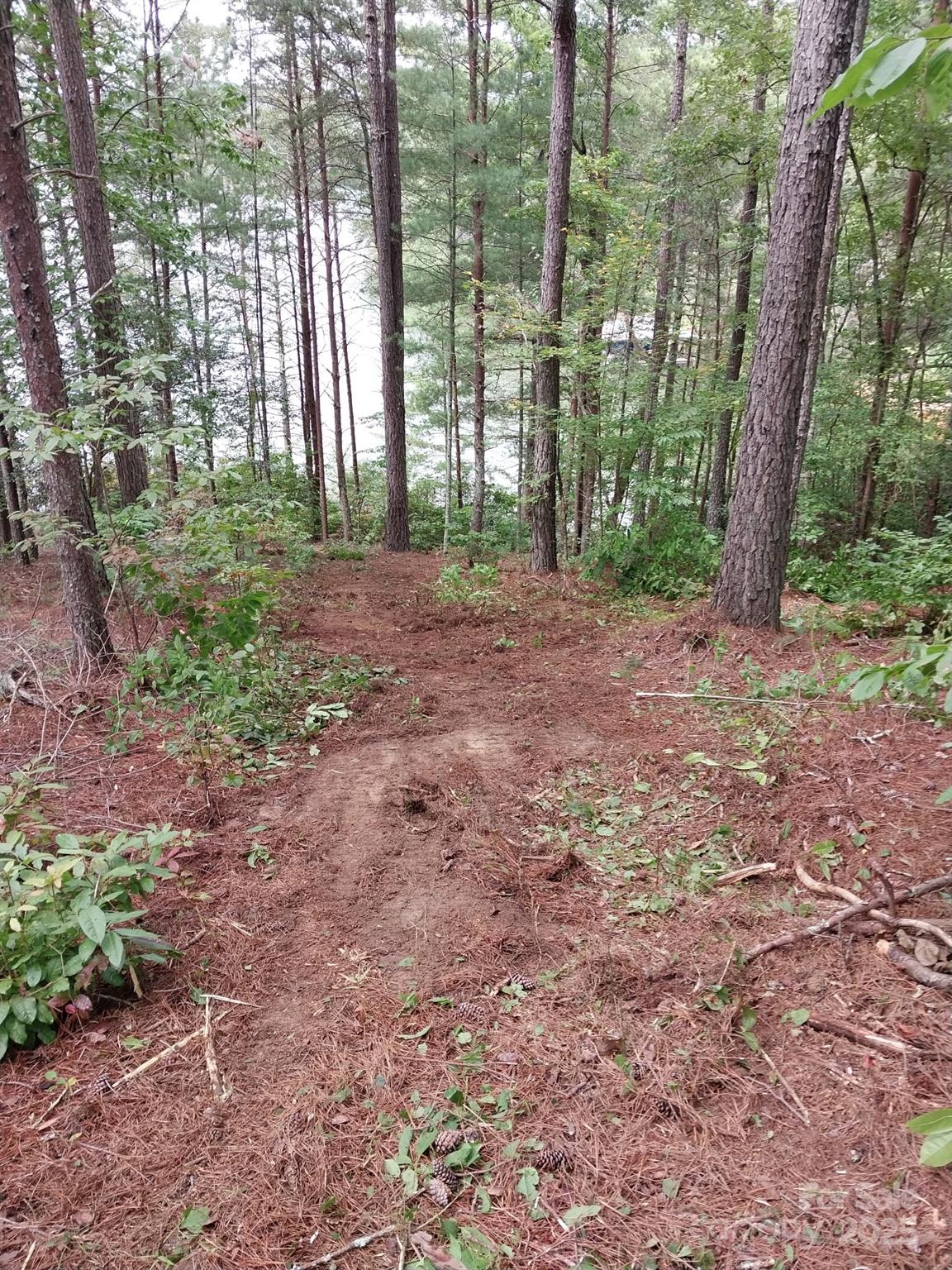 Paradise Harbor - Land