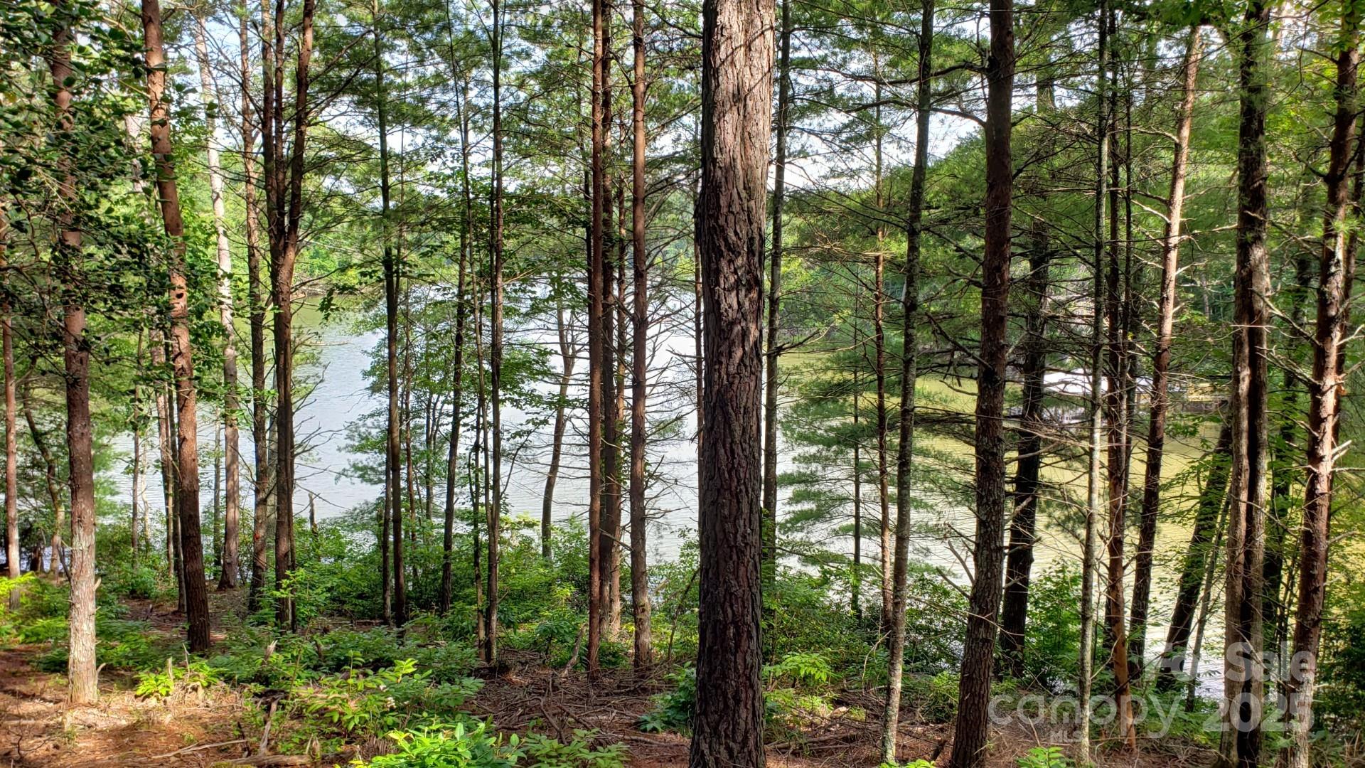 Paradise Harbor - Land