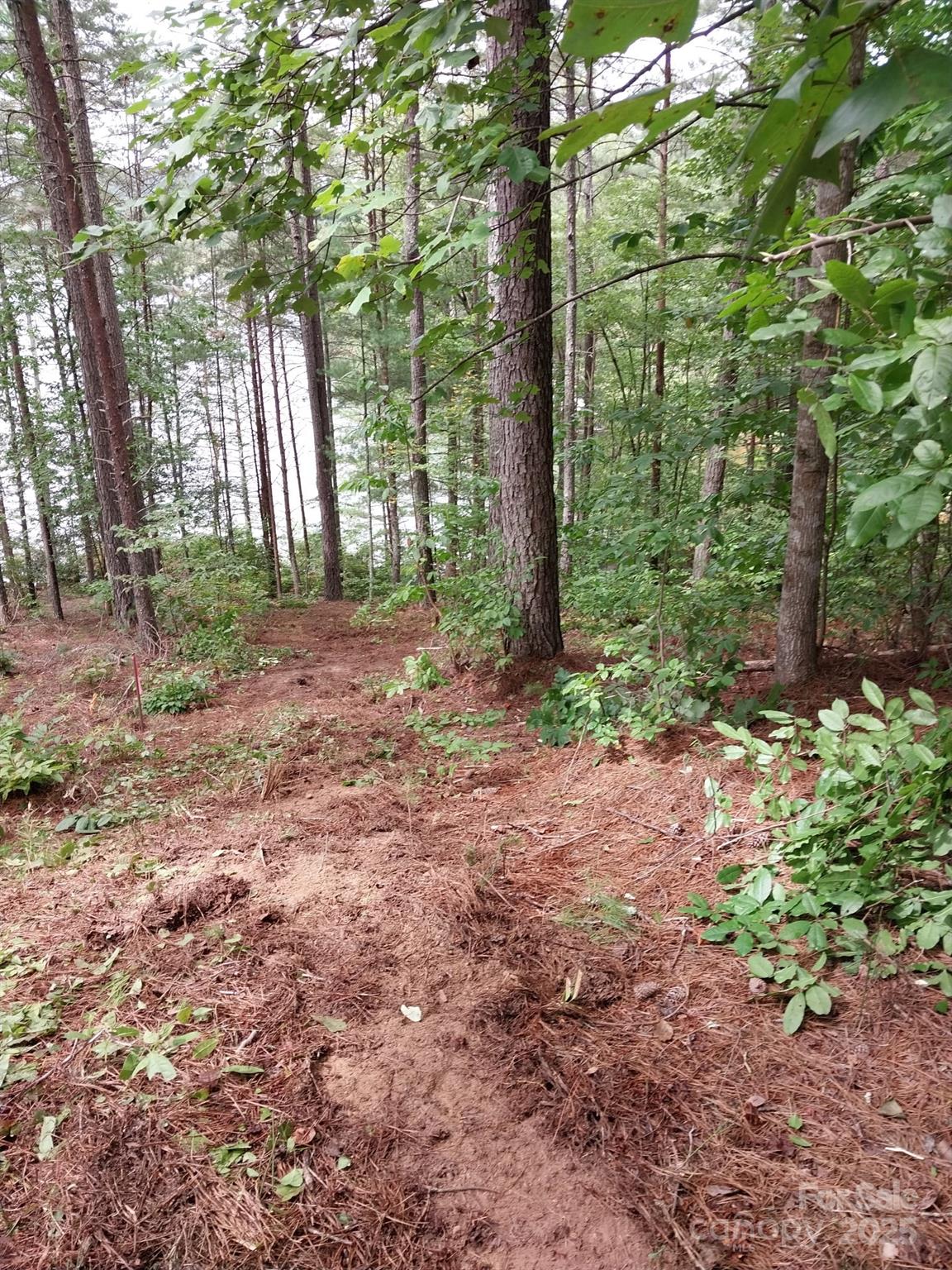 Paradise Harbor - Land