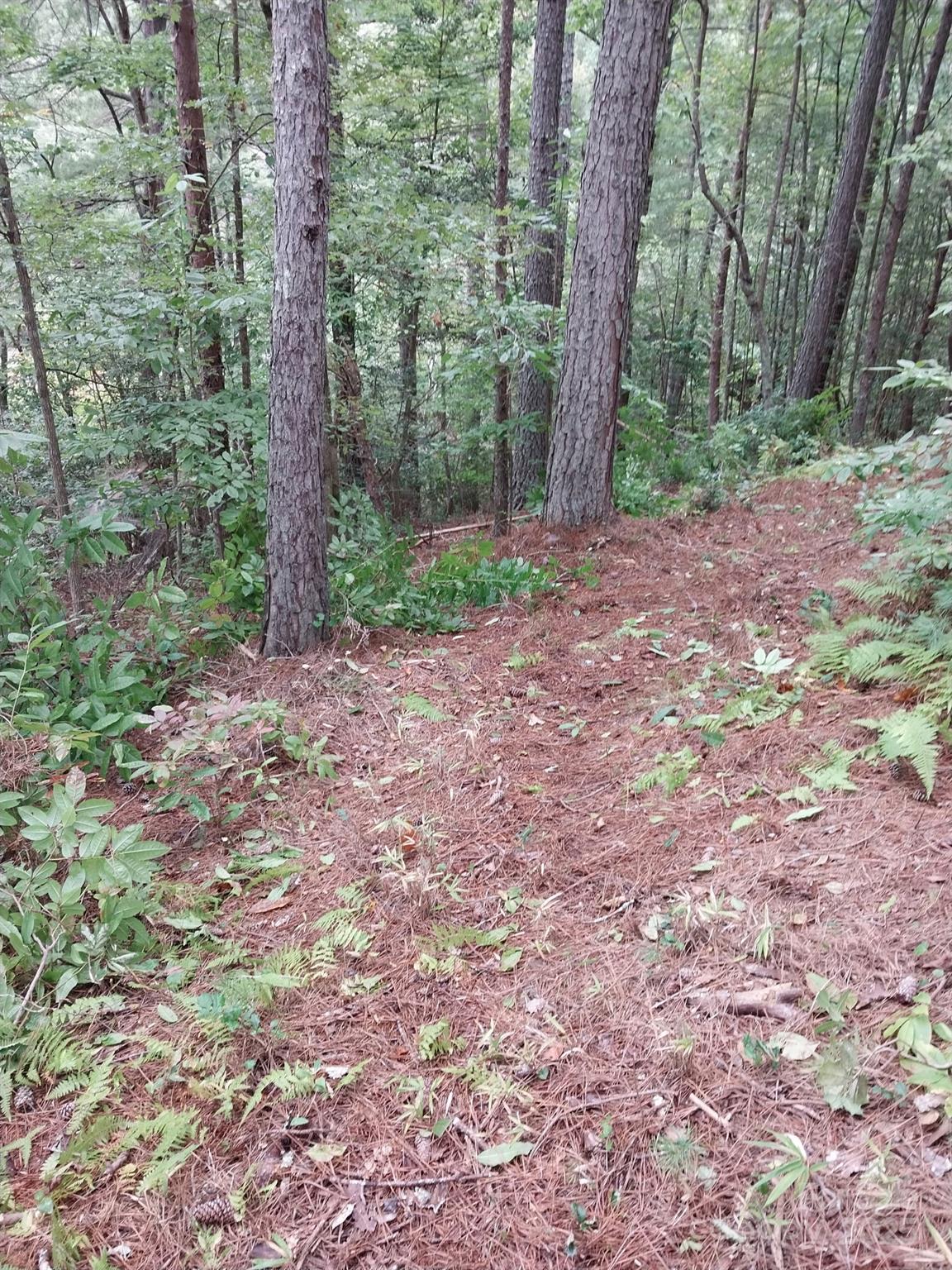 Paradise Harbor - Land