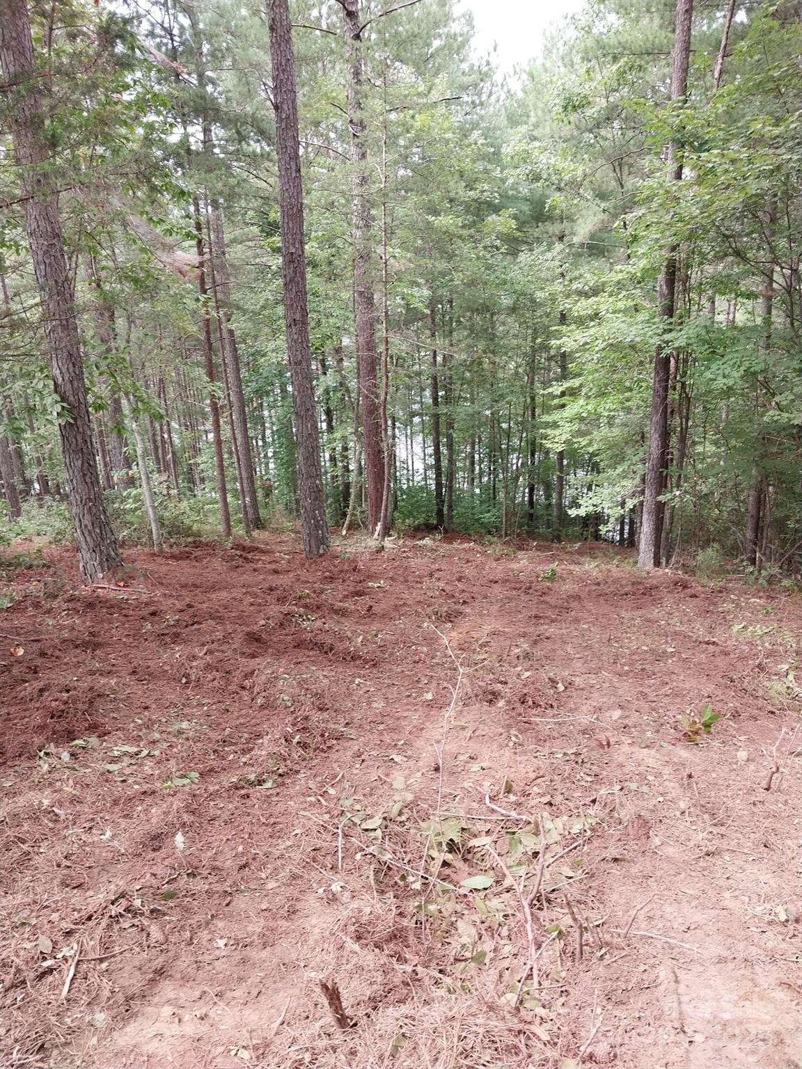 Paradise Harbor - Land