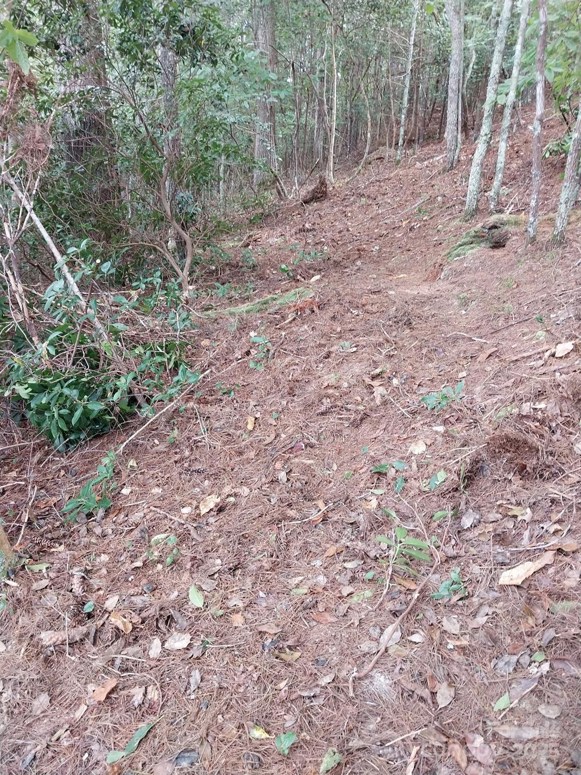 Paradise Harbor - Land