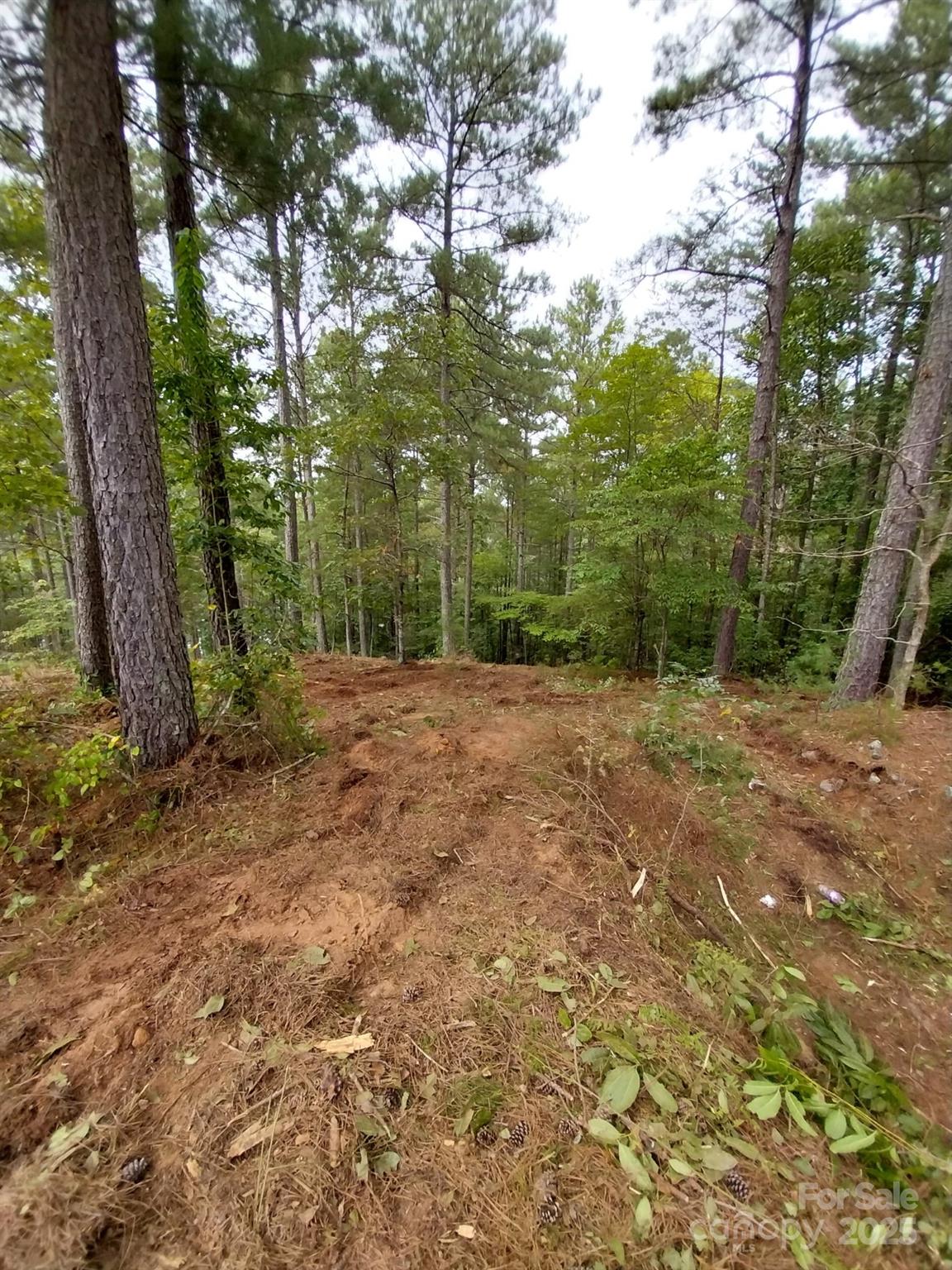 Paradise Harbor - Land