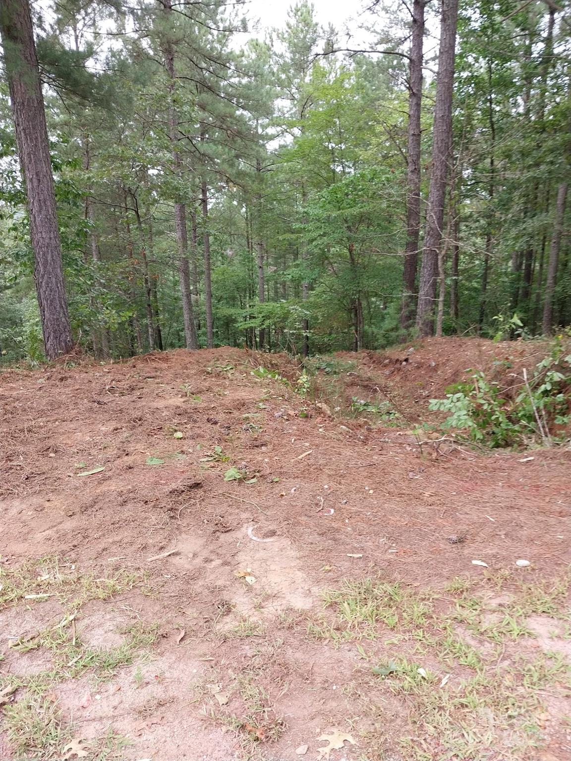 Paradise Harbor - Land