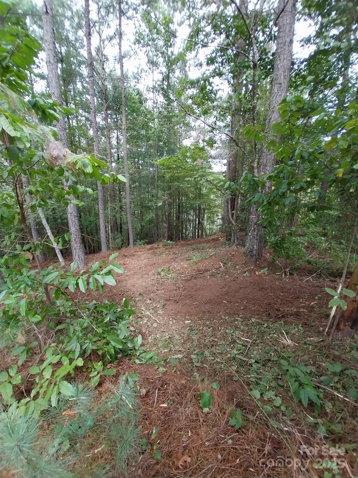 Paradise Harbor - Land