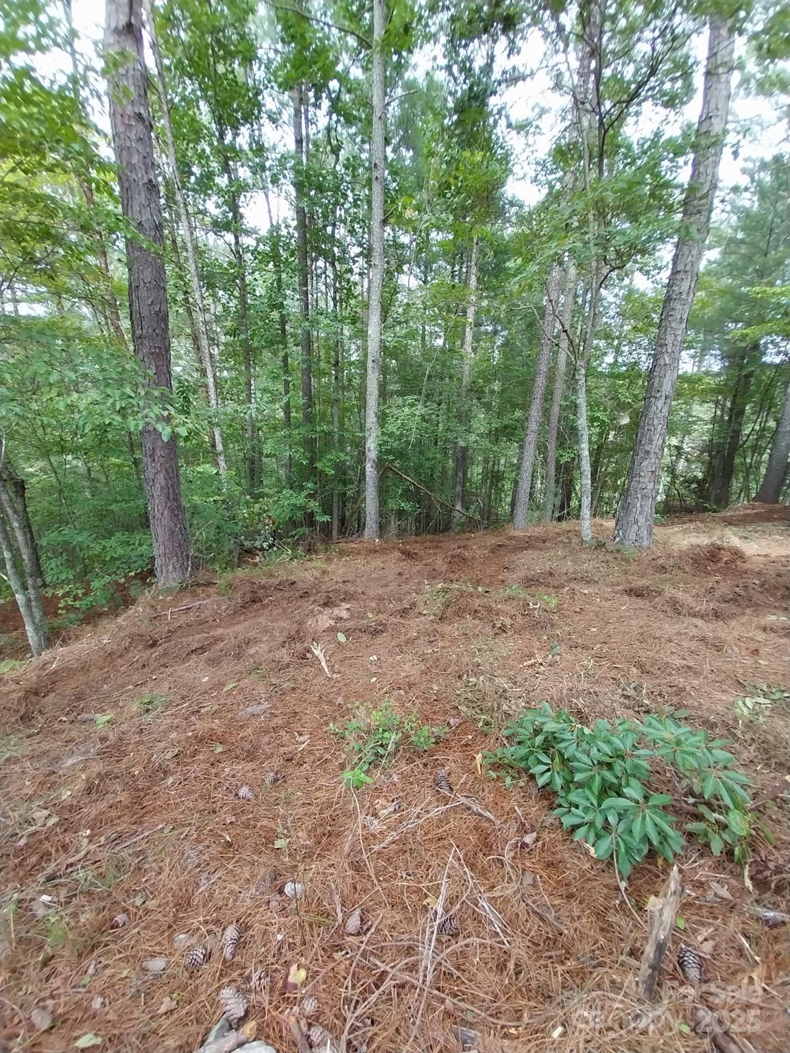 Paradise Harbor - Land