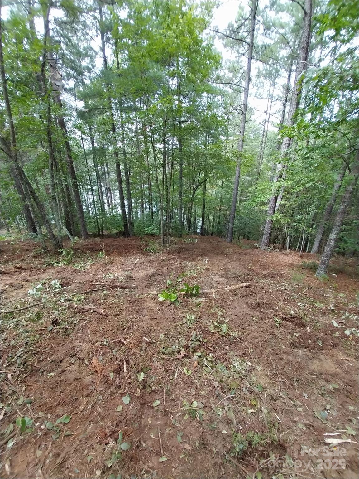 Paradise Harbor - Land