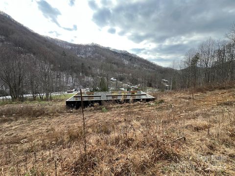 443 Long Branch Road Mars Hill NC 28754