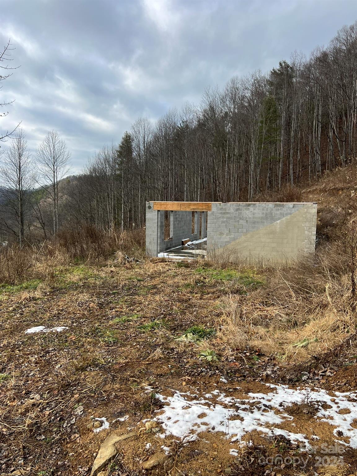 443 Long Branch Road