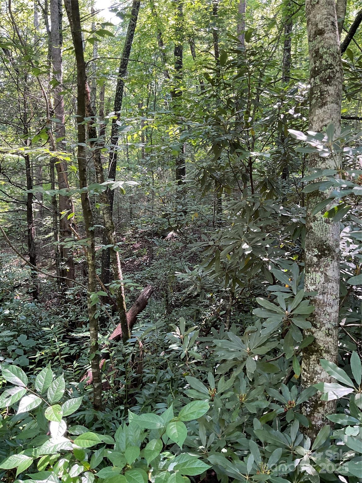 Riverbend Highlands - Land