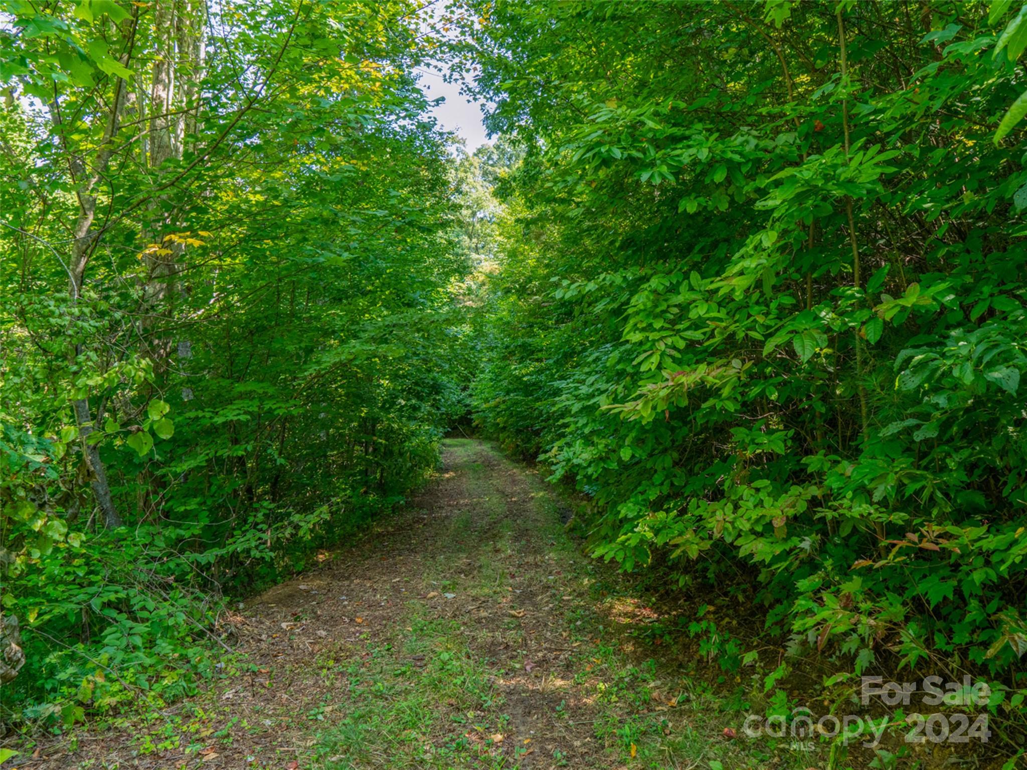 Meadow Fork Ranch - Land