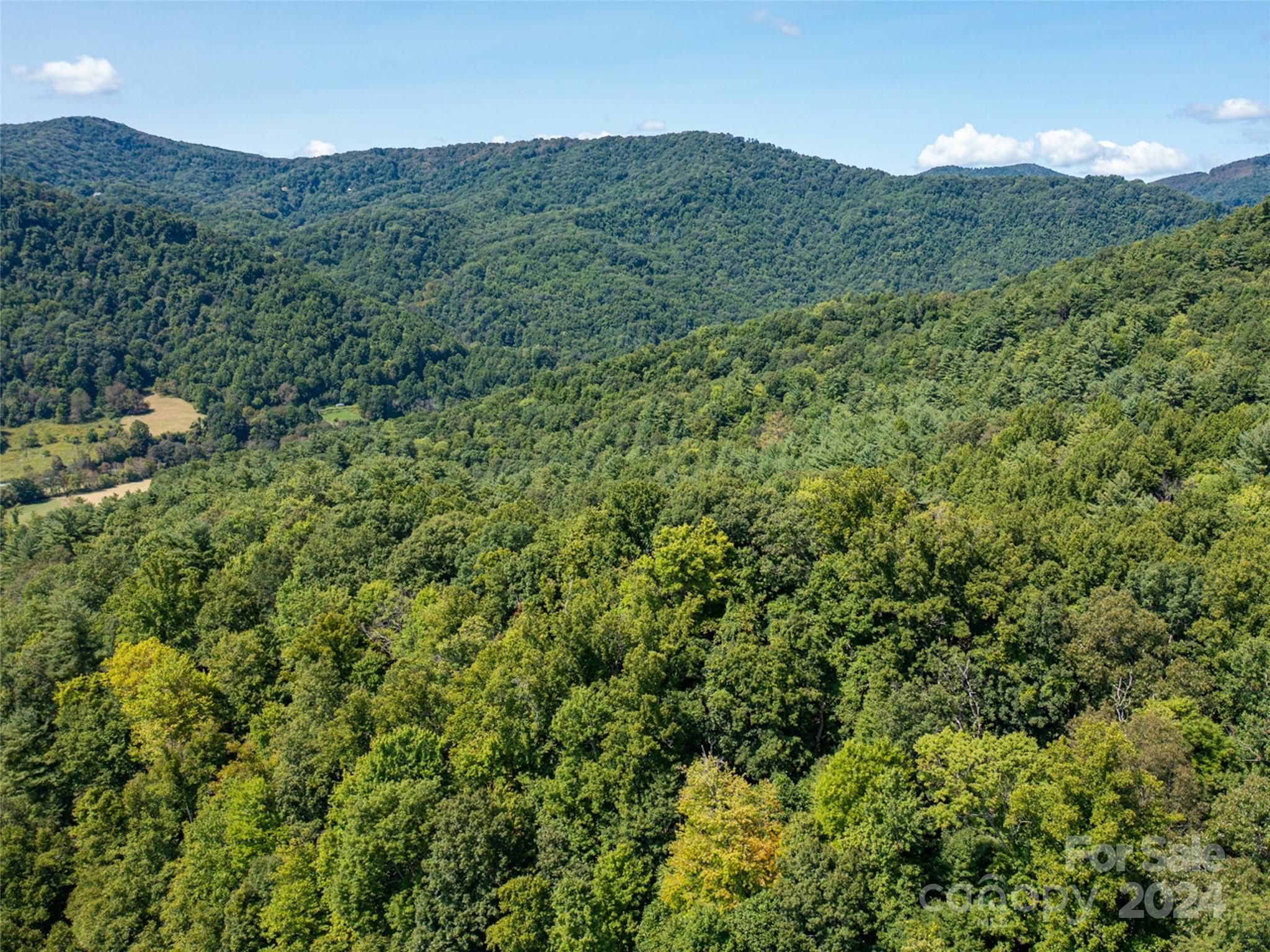 Meadow Fork Ranch - Land