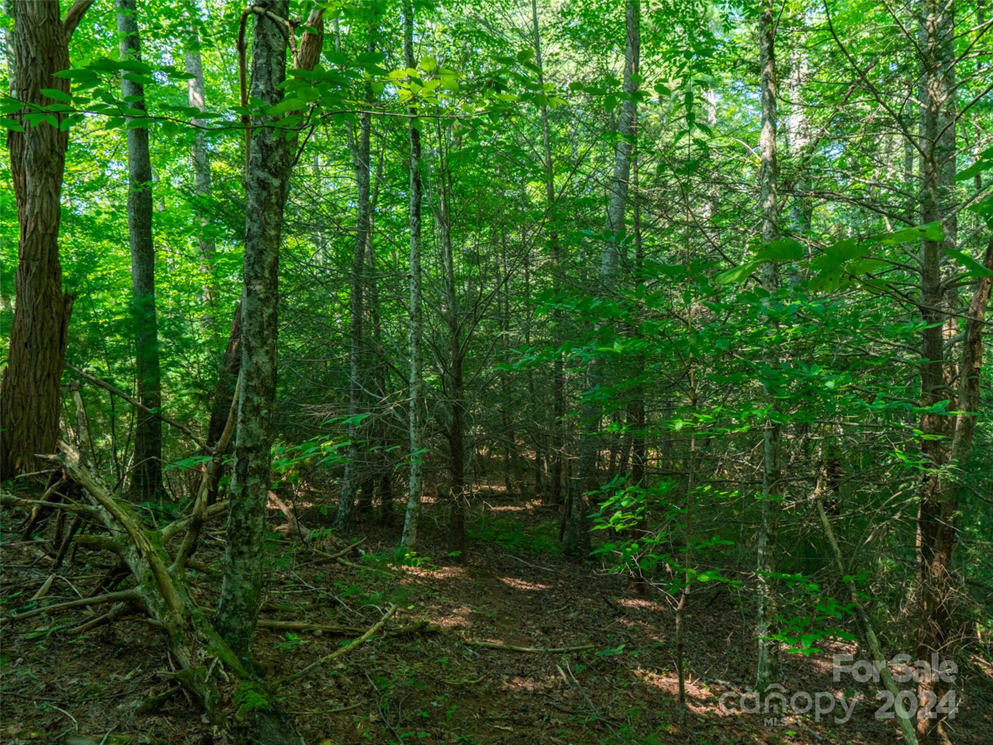Meadow Fork Ranch - Land