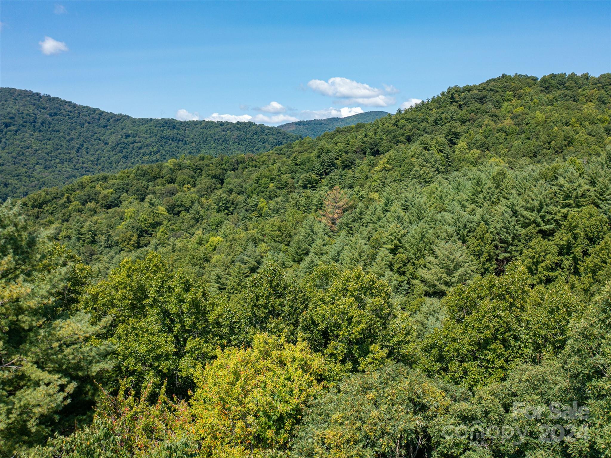 Meadow Fork Ranch - Land
