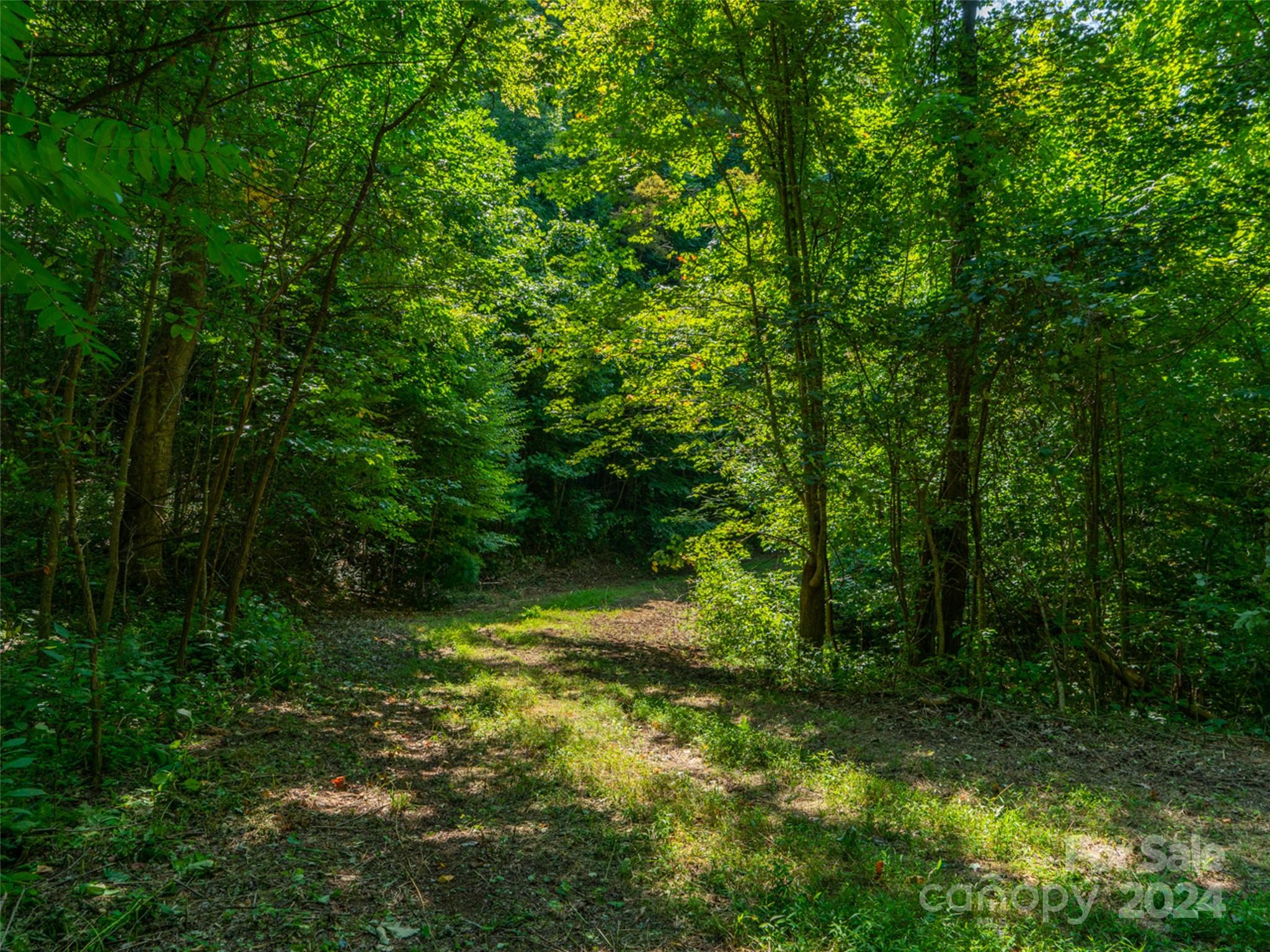 Meadow Fork Ranch - Land