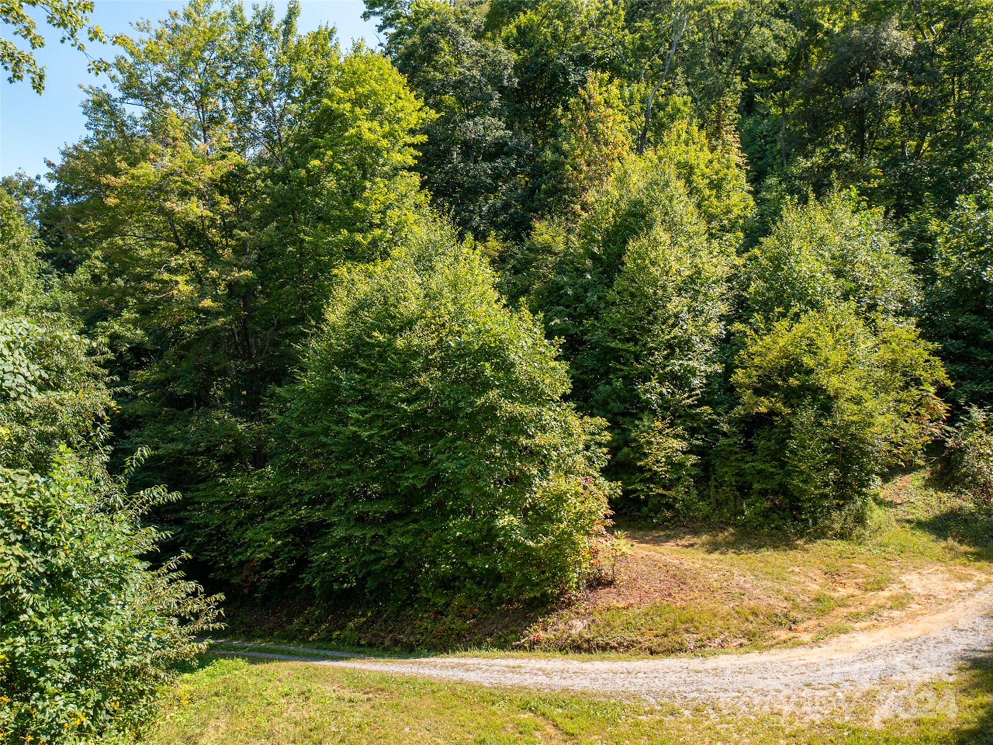 00000 Meadow Fork School Road