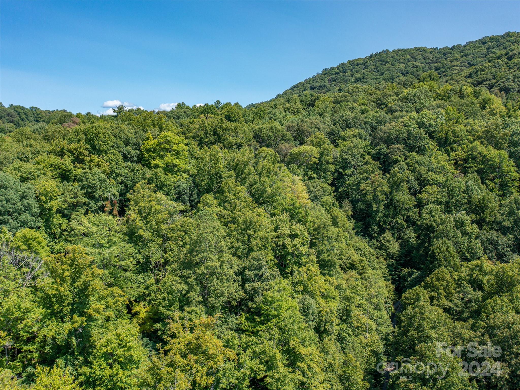 Meadow Fork Ranch - Land